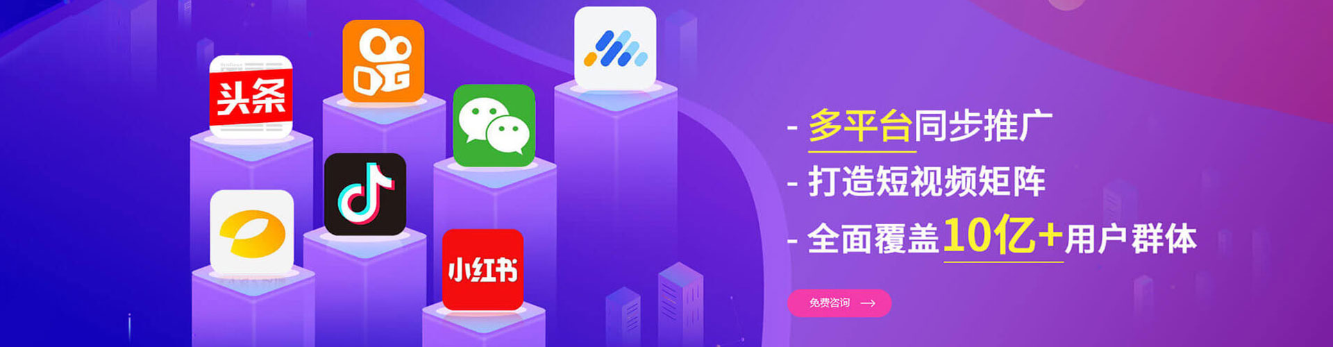 延津竞价排名